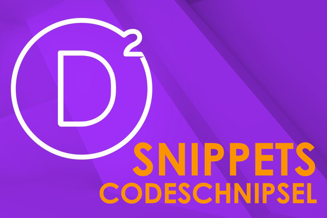 Divi Snippets