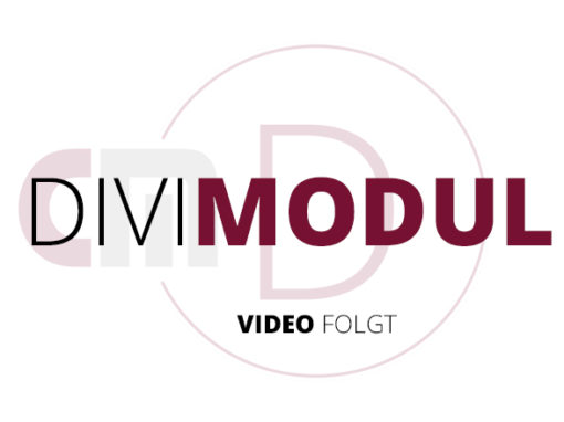 Modul Bild